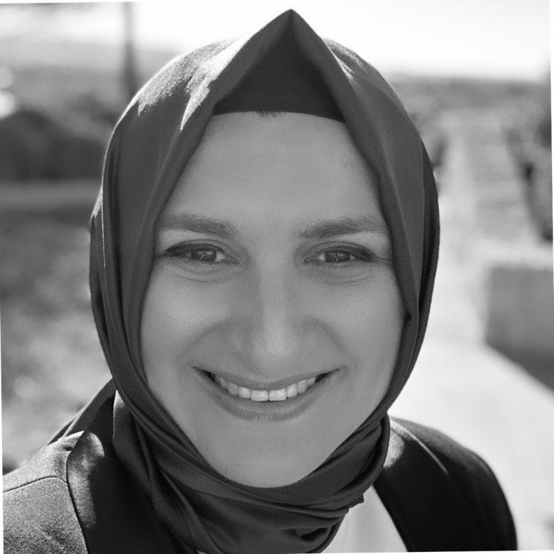 Hulya Odabas